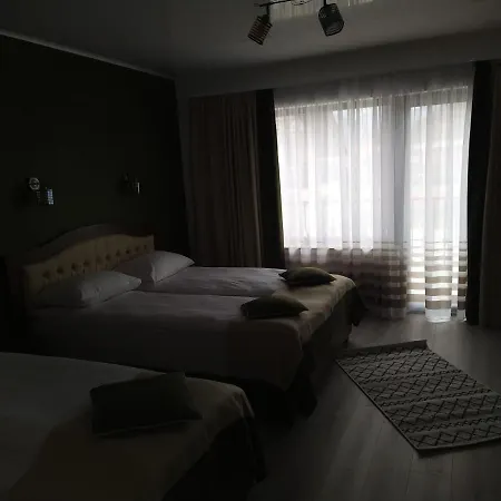 Popasul Montan 3* Avrig